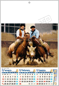 ampliar
